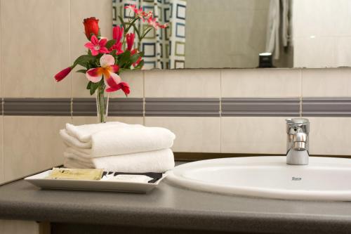 贝纳斯克Hotel Avenida Benasque的浴室水槽,配有花瓶和毛巾