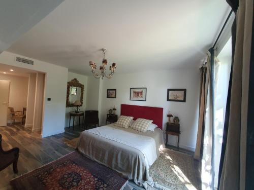 阿尔勒Villa Blanche的一间卧室配有一张床和一个吊灯
