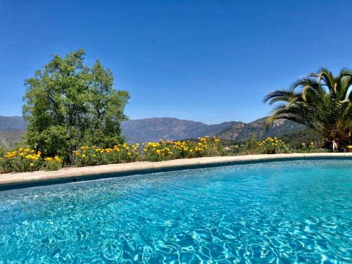奥尔穆埃Swiss Eco Lodge La Linda Loma - Olmué的享有鲜花和山脉景致的游泳池