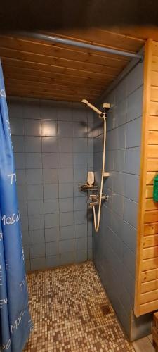 珀尔瓦拉妮玛雅民宿的带淋浴的浴室和蓝色瓷砖墙