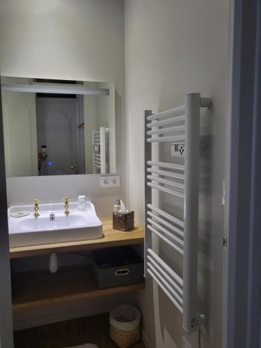坎佩尔La Petite Perle de Quimper的一间带水槽和镜子的浴室