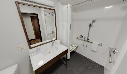 芝加哥美琪芝加哥剧院区汉普顿酒店的白色的浴室设有水槽和镜子