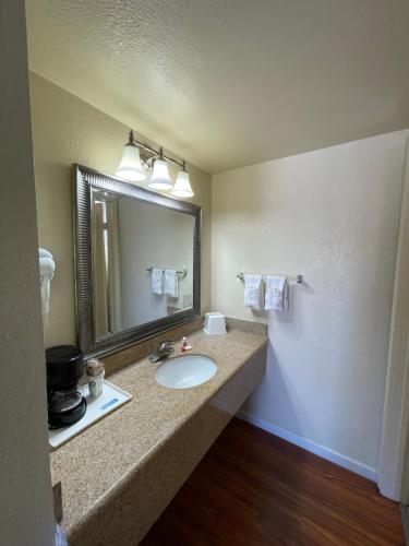 胡尔伯克霍尔布鲁克旅程住宿酒店的一间带水槽和镜子的浴室