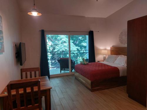 格兰德海滩Palm Beach Inn的一间卧室设有一张床和一个大窗户
