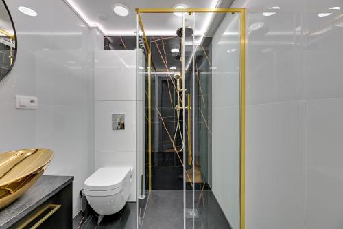 索波特Lion Apartments - Comfy Sopot Family House的设有带卫生间的浴室内的淋浴间