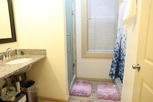 华盛顿杜奥游牧者旅舍的一间带水槽、镜子和淋浴的浴室