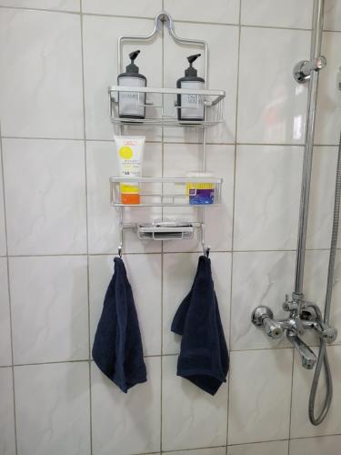 金贾Rozy homes Jinja的带淋浴和2条蓝色毛巾的浴室