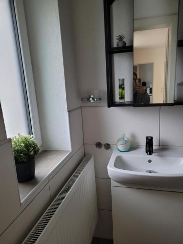 纳瑟尔文勒格特鲁德度假公寓的一间带水槽和镜子的浴室
