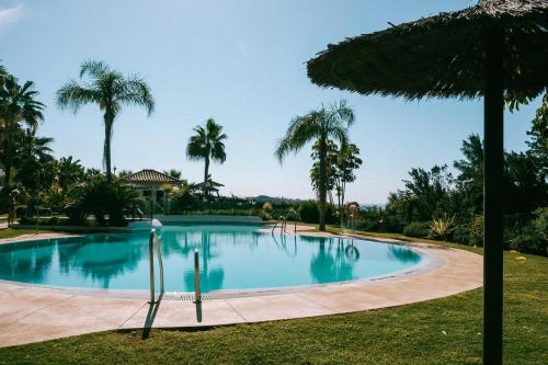 米哈斯科斯塔Casa Jilou的一座棕榈树环绕的大型游泳池