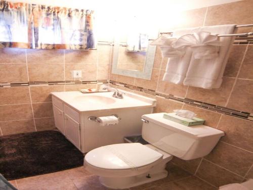 威廉斯敦杨柳汽车旅馆的浴室配有白色卫生间和盥洗盆。