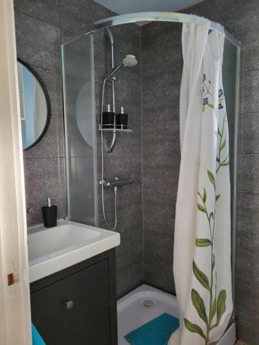 HvanneyriHvanneyri apartment的浴室内配有带水槽和淋浴帘的淋浴