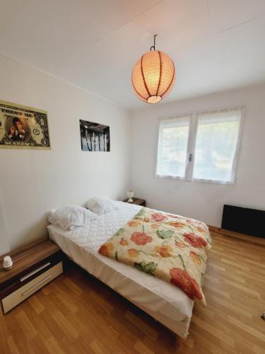 米米藏La Forêt的一间卧室配有一张床和一个吊灯