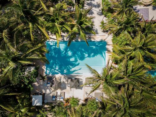 图卢姆哈西塔酒店的享有棕榈树游泳池的顶部景致
