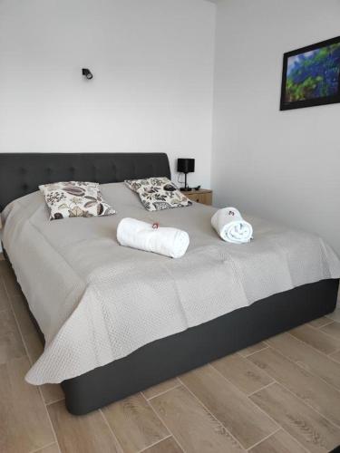 马佐夫舍地区格罗济斯克Aquarius Stawy Walczewskiego 7的卧室里一张带两条毛巾的床
