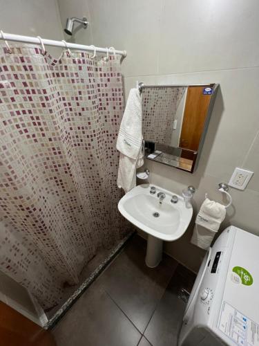 康考迪亚Nuevo apartamento en primer piso a 7 min del centro的一间带水槽和淋浴帘的浴室