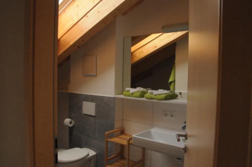 蒂罗尔-泽费尔德Haus Lagger的一间带水槽、卫生间和镜子的浴室