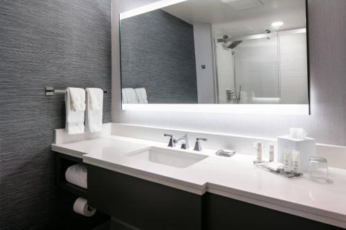 西得梅因West Des Moines Marriott的一间带水槽和大镜子的浴室