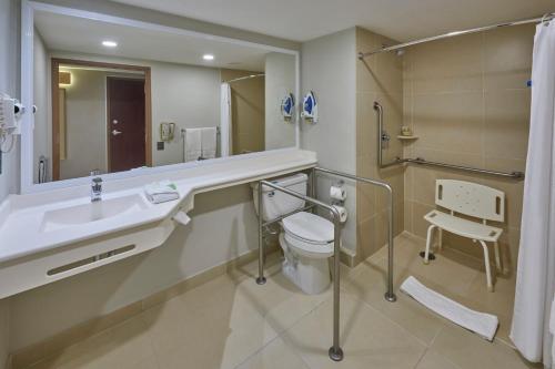 洛斯莫奇斯洛斯莫奇斯城市快捷酒店的一间带水槽、卫生间和镜子的浴室