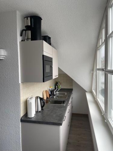 格赖夫斯瓦尔德Ferienwohnungen Ryck Blick的白色的厨房配有水槽和微波炉