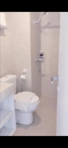巴厘巴板Aeropolis 803b的白色的浴室设有卫生间和淋浴。