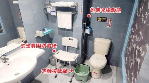 台南桦谷大饭店的一间带卫生间和水槽的小浴室