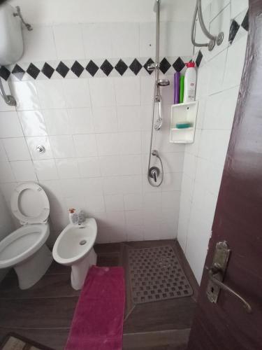 泰拉奇纳Casa tiziana的浴室配有卫生间、盥洗盆和淋浴。