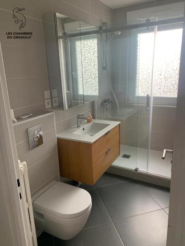 梅斯Les chambres du Graoully - Le 136 - Metz Queuleu - Place de parking intérieur的浴室配有卫生间、盥洗盆和淋浴。