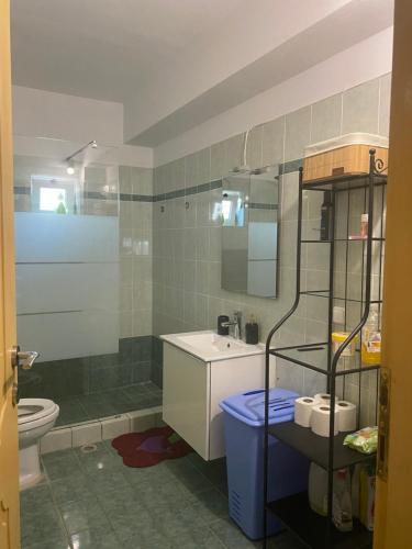 阿纳维索斯Seaside Blue Coast Apartment的浴室配有卫生间、盥洗盆和淋浴。
