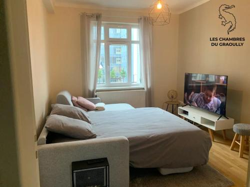梅斯Les chambres du Graoully - Le 109 - Metz Gare - Parking inclus - NO S-model的一间卧室配有一张床和一台平面电视