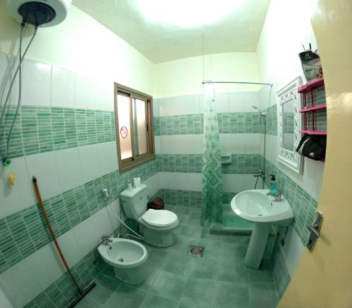 亚喀巴Extra Experiment的一间带卫生间和水槽的浴室