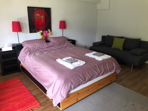 翁根Hop in Nest Cozy B&B in Wengen的一间卧室配有一张大床和一张沙发