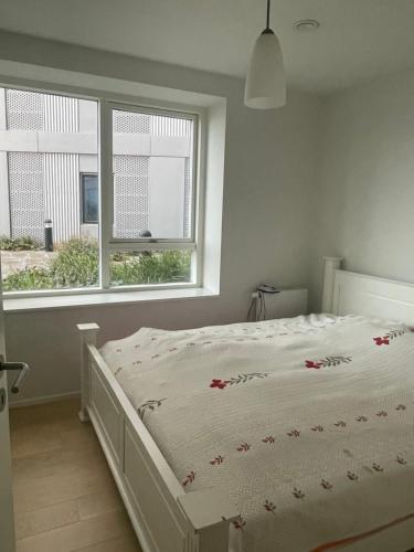 奥尔堡Stjernepladsen的卧室内的一张白色床,设有窗户