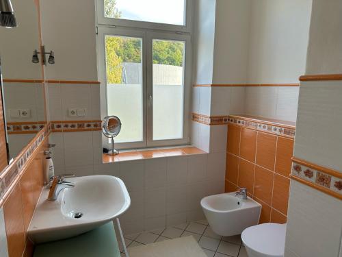 卡罗维发利扎拉德妮公寓的一间带水槽和卫生间的浴室以及窗户。