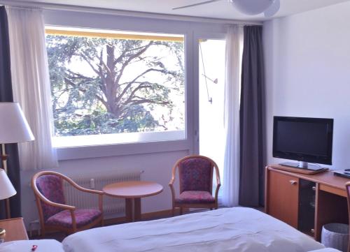 特湾Fontana Budget的酒店客房,设有床和一扇树窗
