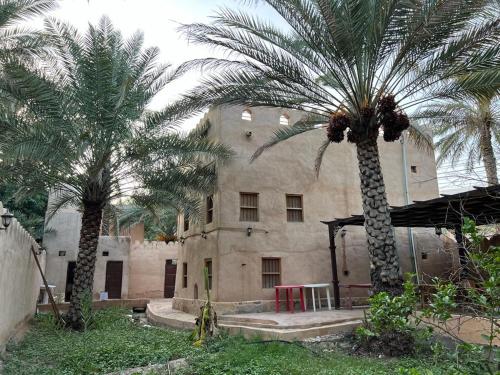 阿尔哈姆拉Mall Aldakhil House的两棵棕榈树,在一座建筑前