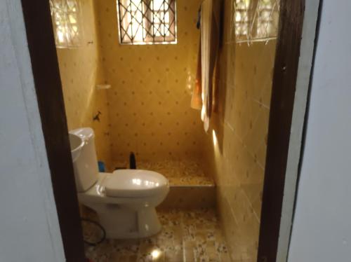SunyaniKingee Lodge的一间带卫生间和窗户的小浴室