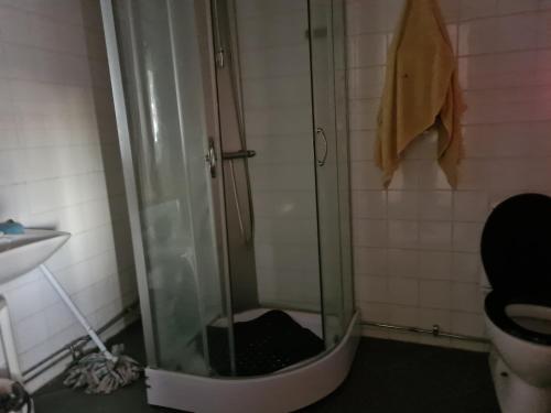 Mattmar vila的带淋浴的浴室(带卫生间和水槽)