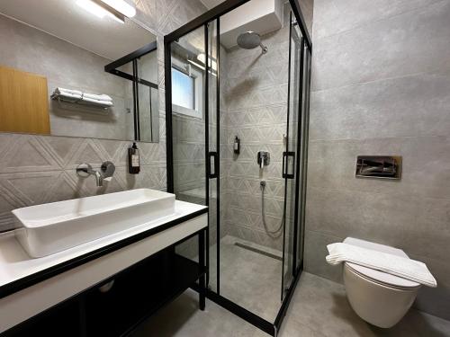 奥赫里德La Vista Luxury Villa的一间带水槽、淋浴和卫生间的浴室