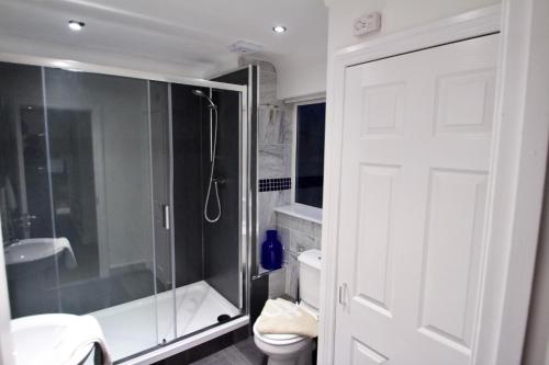 纽伯里Mill Lane Refurbished 2 Bedroom Apartment的带淋浴和卫生间的浴室以及玻璃门。