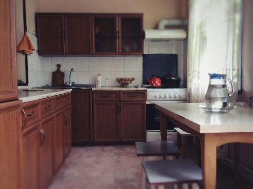 库塔伊西Hostel Mana Kutaisi的厨房配有木制橱柜和带搅拌机的桌子。