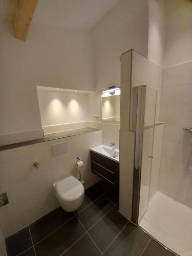 吕贝克Dorfblick vom Muckesberg的浴室配有卫生间、盥洗盆和淋浴。