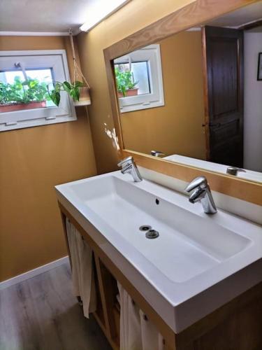 艾格-莫尔特Charmant appart avec extérieur的浴室设有白色水槽和镜子