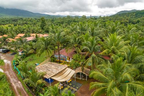 卡纳科纳Whoopers Party Hostel, Palolem的棕榈树度假村的空中景致