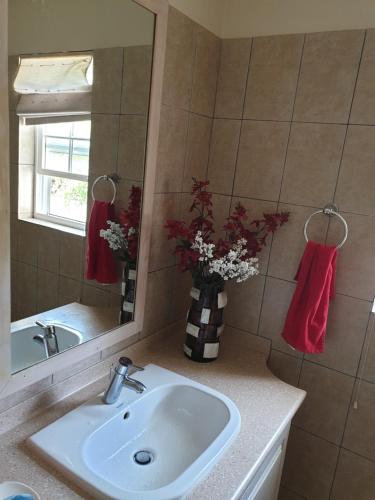 Lance aux ÉpinesSweet Home Grenada Caribbean的一间带水槽和花瓶的浴室