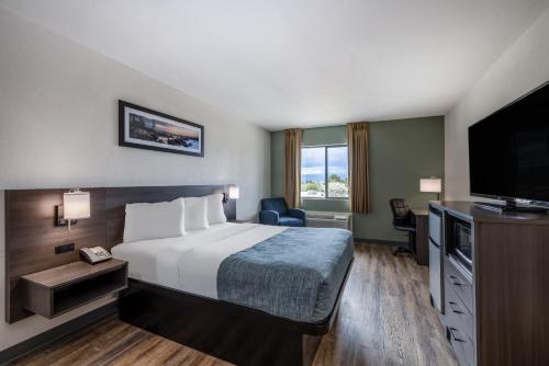 比尤特Wingate by Wyndham Butte City Center的配有一张床和一台平面电视的酒店客房