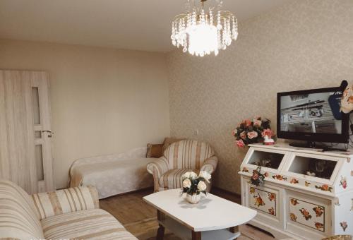 陶拉格Dviejų kambarių butas的带沙发和电视的客厅