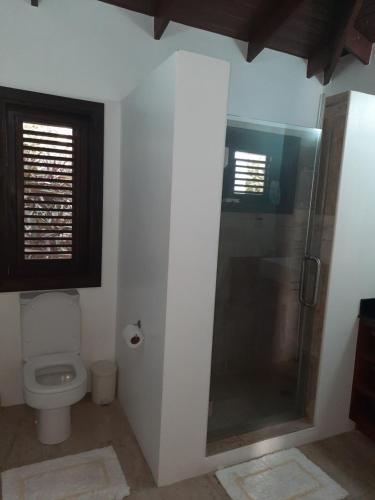 苏弗里耶尔Moringa Villa Master Suite的一间带卫生间和玻璃淋浴间的浴室
