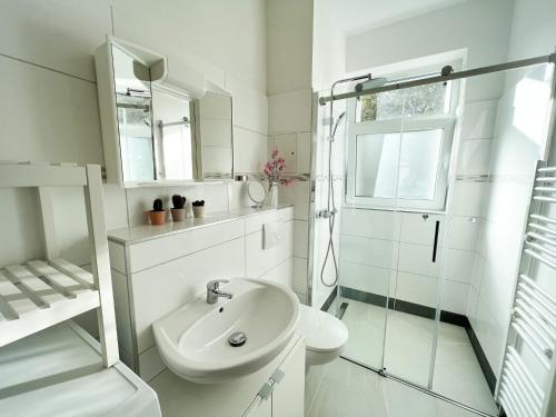莱比锡517 Zentrum Ost Apartment的白色的浴室设有水槽和淋浴。