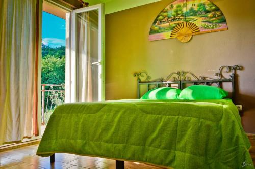蒂瓦特安东旅馆的一间卧室配有一张带绿毯的床和窗户。