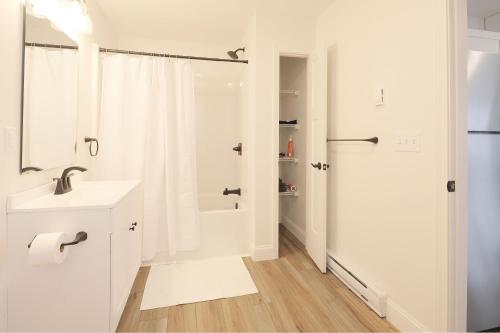 奥本Idyllic & Cozy Stylish Belmont Haven near Lewiston - 1BR 1BA Apartment的白色的浴室设有水槽和淋浴。